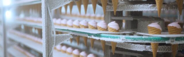 Eesti tudengid töötasid õppetöö käigus välja tervisliku jäätise