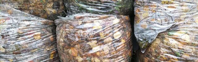 VIIMSI FAKT: mai lõpuni saab osa aiajäätmeid ära anda tasuta