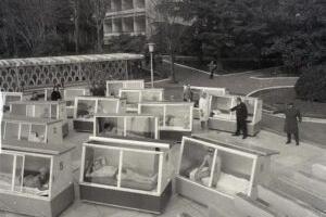 Majad, mida enam ei ehitata