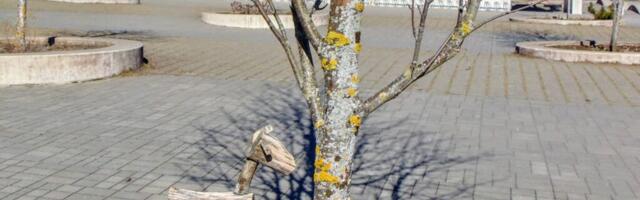 Vallavõim tunnistab lõpuks probleeme: Randvere kooli direktor lahkub ametist