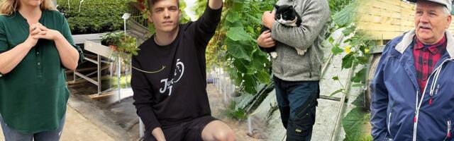 Parima taimekasvataja aunimetusele nomineeriti neli eripalgelist aiandustootjat