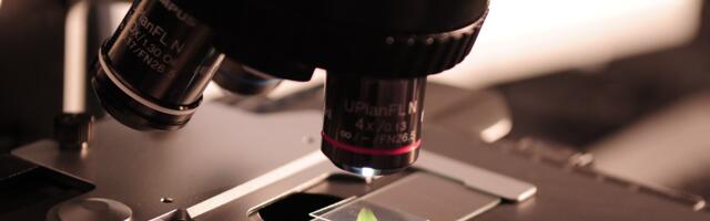 Teadusagentuur kutsub osa võtma üliõpilaste teadustööde konkursist