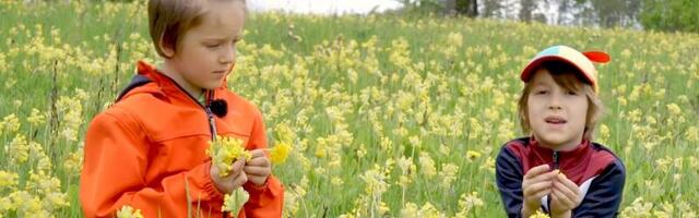 Euroopa harrastusteadlased aitasid tuvastada üllatavaid muutusi putuktolmlevate taimede suguelus