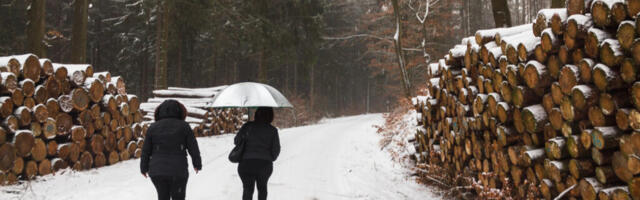 Metsa- ja looduskaitseseaduse muudatused kiirendavad looduse kadumist