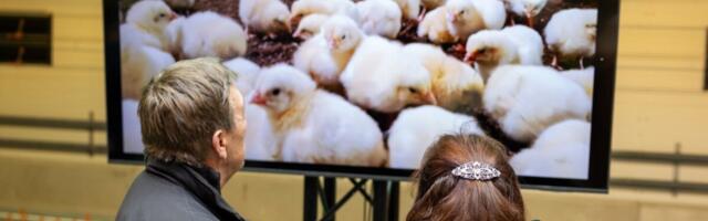 TOP 1000 | Millised põllumajandusfirmad maksid kõige rohkem riigikassasse?