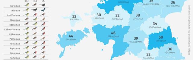 SAARTEL HARULDANE | Talvisel aialinnuvaatlusel nähti Hiiumaal haruldast puukoristajat