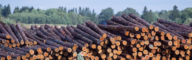 Uus programm toetab loodusvarade väärindamist ning teadlaste ja ettevõtete koostööd