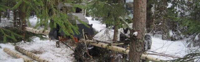 Piirangud puidu kasutamisele energia tootmiseks seavad löögi alla erametsade hooldamise