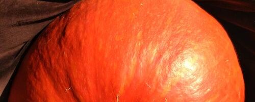 Laupäeval, 16.septembril toimub 24. korda Suur Paunvere Väljanäitus ja laat