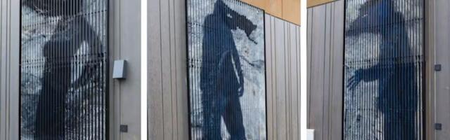 Soome haiglale tellitud kunst hirmutab inimesi