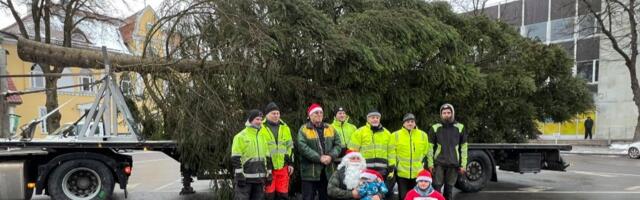 FOTOD: jõulupuu jõudis Paide keskväljakule