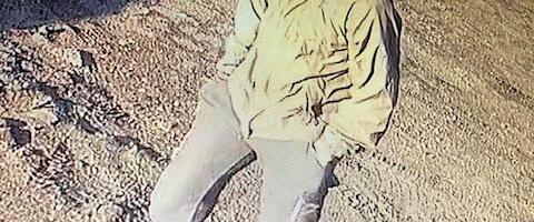 Politsei tuvastab Valga varguses kahtlustatavat