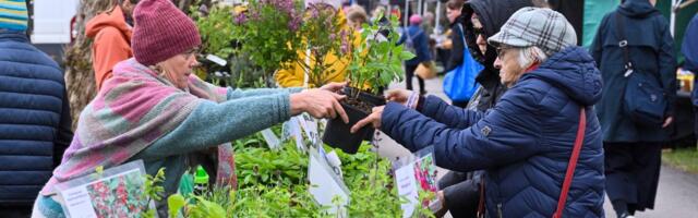SUUR GALERII | Türi lillelaat sai avapaugu, kaubavalik lööb silme eest kirjuks
