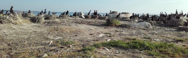 Andres Jaanus NÄDALA FOTO