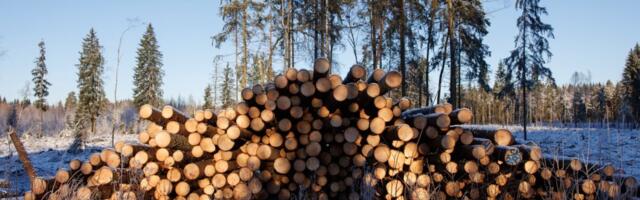 Puiduturul valitses teises kvartalis hinnalangus