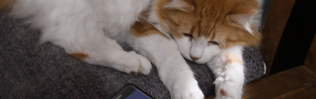 OHUTUT SÕBRAPÄEVA JA VASTLATE TÄHISTAMIST