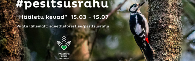 Roheliste ja MTÜ Päästame Eesti Metsad koostöö pesitsusrahu nimel