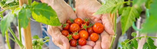 Eelistades mahetoitu, teed pai nii endale kui ka keskkonnale