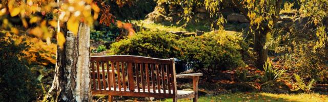 Armastatud spordihingele avati mälestuspink