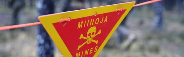 Ajaloolane: NATO on võimas majandushiiglane, kes kardab Venemaad