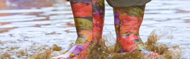 ILMATEADE | Jaanipäeval võib kummikud jalga panna! Järgnevad päevad toovad tugevat sadu ja tuult