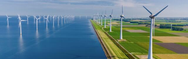 Rohepöörde hinnaks on hävitatud loodus – tuuleparkide tegelikust mõjust looduskeskonnale