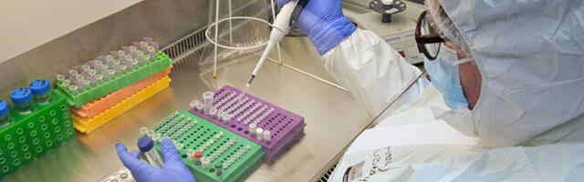 Laialt levinud herpesviirus vaevas inimesi juba rauaajal