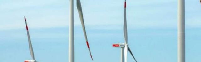 Зеленые электростанции Германии в панике: льготы отменят