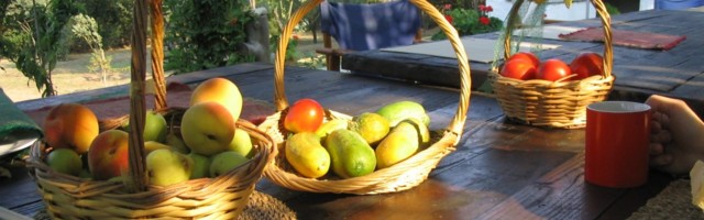 7 looduslikku meetodit hommikukohvi sõltuvusest vabanemiseks