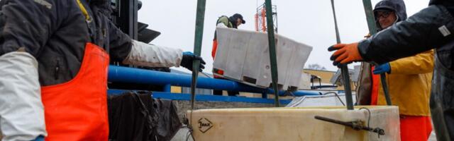 Eesti Kalaliit 30: kestlik kalandus ühendab põlvkondi