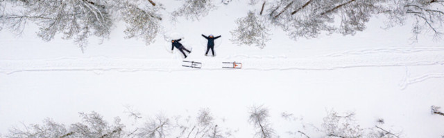 Fotolugu: lumeinglid