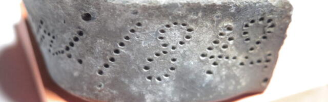 Pühalepa tornikiivri muna ei olnud tühi