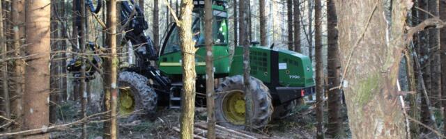 Majanduslangust tõukasid tagant energeetika ja tööstus