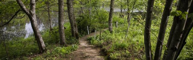 Margo Pajuste: inimliigil läheb Lahemaal kehvasti