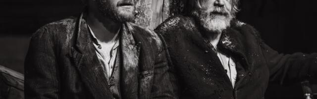 Antiabsurd ja stereotüüp