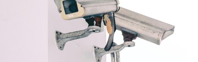 Uuring: vargustega võitlemine pole poodnike jaoks fookuses