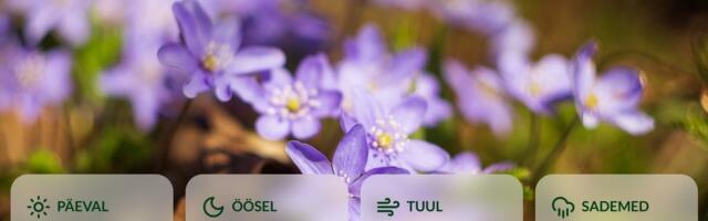 ILMATEADE | Vihm ja lörts jätkub, ilusamat ilma on oodata nädala lõpus