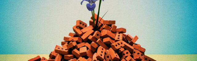 Gaza Is Rebuilding With Lego-Like Bricks Made From Rubble