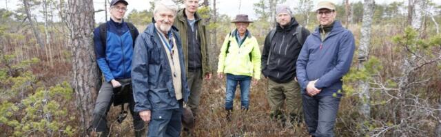 RMK ja Saksamaa partnerid ühendavad jõud Leidissoo taastamiseks