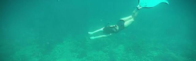 Merineitsindus kogub tuure: kalasaba soovivad naised ja mehed!