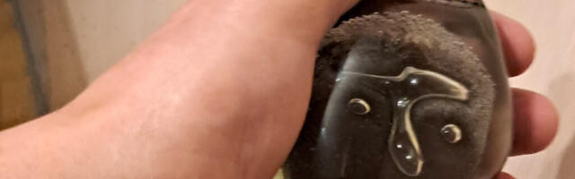 ANNETAJAID KÕNETAVAD EMOTSIONAALSED LOOD