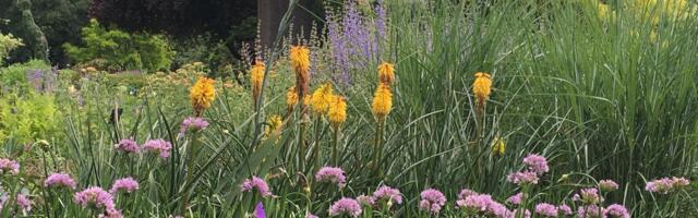 KEVAD KOPUTAB UKSELE ⟩ Aiaplaanid varakult paika!