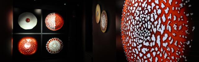 Näitusearvustus. Andrus Laansalu: roheline võrgustik. “Miski on kõigega seotud”