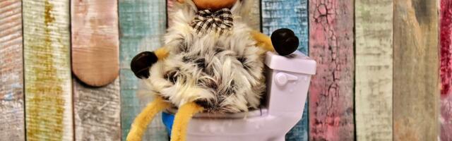 Lapsevanem küsib: miks laps väldib tualetiskäiku?