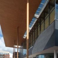 Südames on organismi elujõud