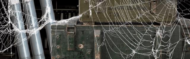 Margus Mikomägi: praktiliselt jagavad praegu maailma Hiina, Venemaa ja Ameerika Ühendriigid