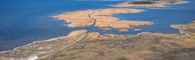 Kaisa Ling: kuidas keset merd olev saar, mis on tavaliselt augustiks krõbekuiv, hoopis mädanes