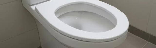 WC-pott nagu uus: see looduslik katlakivieemaldaja teeb imesid