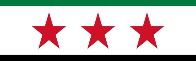 What’s Publicly Financed Russian Media Saying About Syria’s Regime Change?