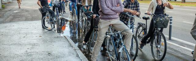 Võrdõigusvolinik: rohkem busse ja rattateid on Tallinna naiste huvides. Autosid eelistavad mehed, kes sõidavad end paksuks